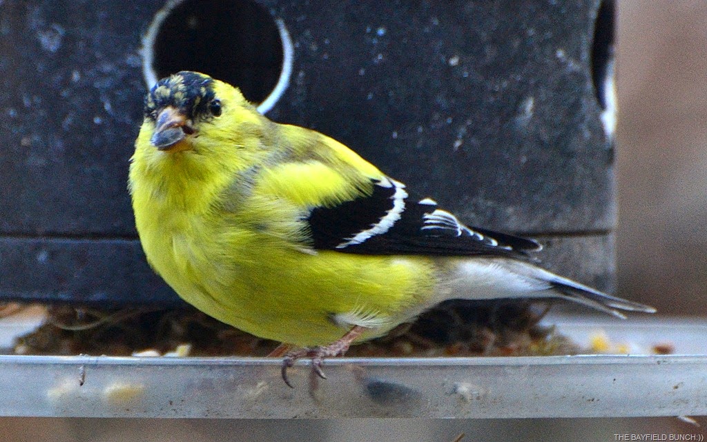 [DSC_0016%255B4%255D.jpg]