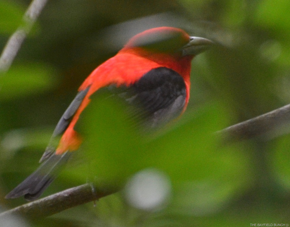 [DSC_0024%255B7%255D.jpg]