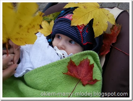 20131013_165049 20131013_165049