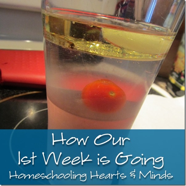 How our 1st week is going at Homeschooling Hearts & Minds
