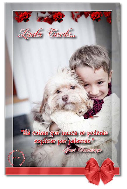 CART%2525C3%25BOA%252520TARDE%252520DESS