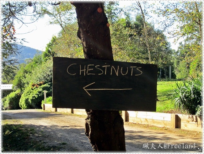 [chestnuts3%255B3%255D.jpg]