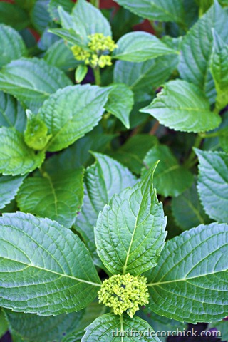 [IMG_5723%255B4%255D.jpg]