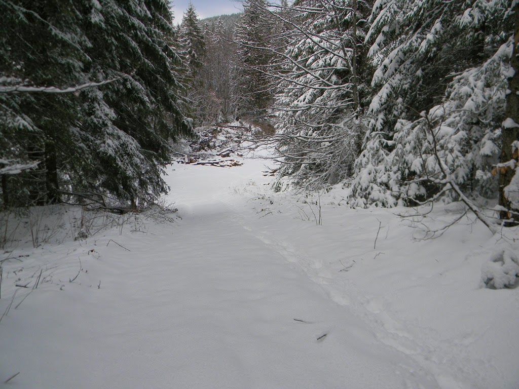 [DSCN07623.jpg]
