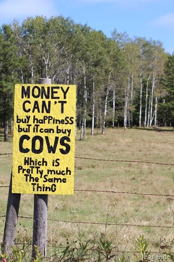 Cows signs
