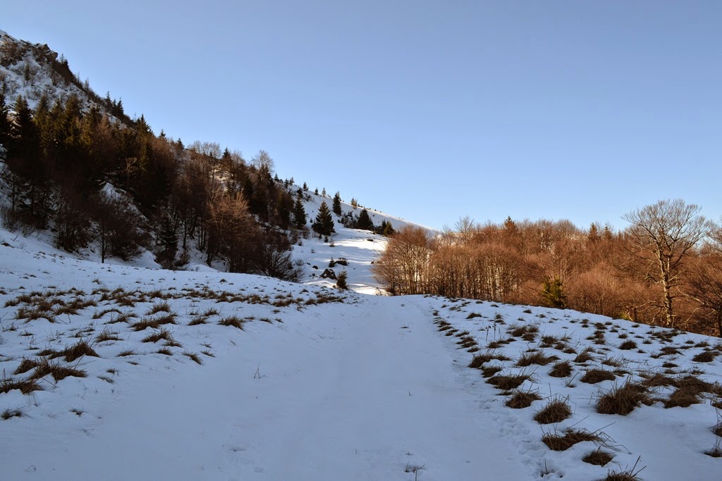 [DSC_56353.jpg]