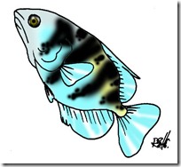 peces clipart blogcolorear (33)