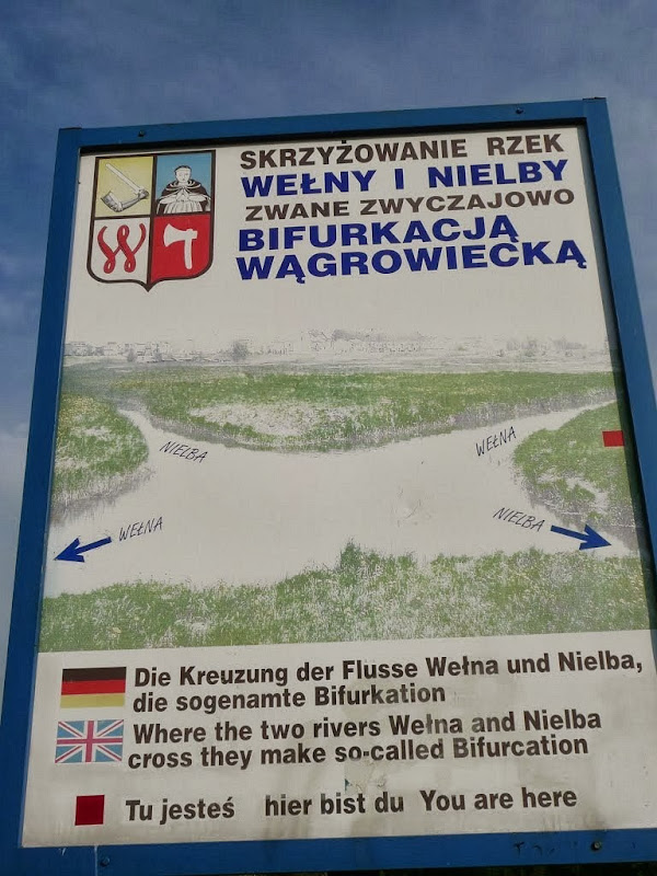 wagrowiec-bifurcation-2