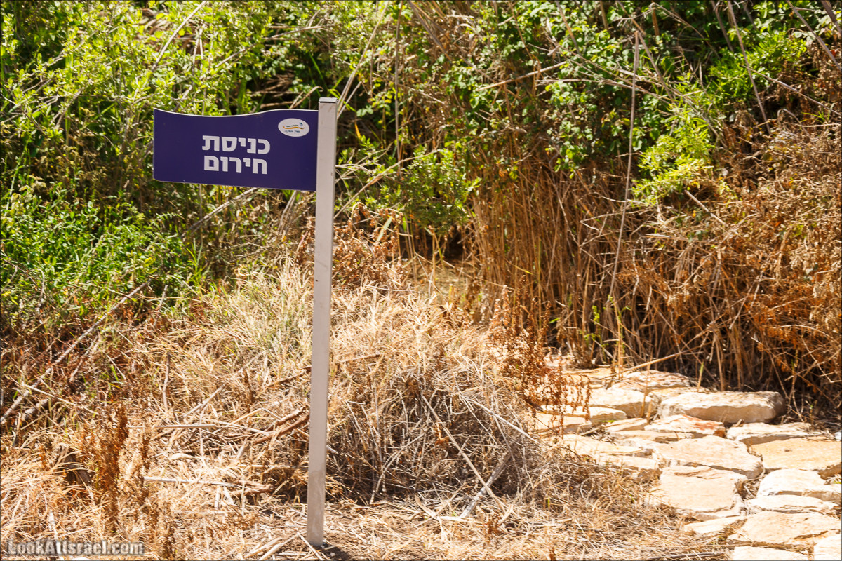 Песах в Долине Родников | Passover in Springs Valley| פסח בעמק המעיינות | LookAtIsrael.com - Фото путешествия по Израилю