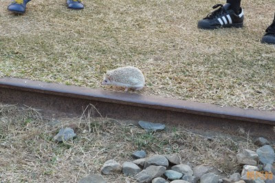 0102 218 - 打狗鐵道故事館 (複製)