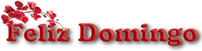 DMCaisamigos.png