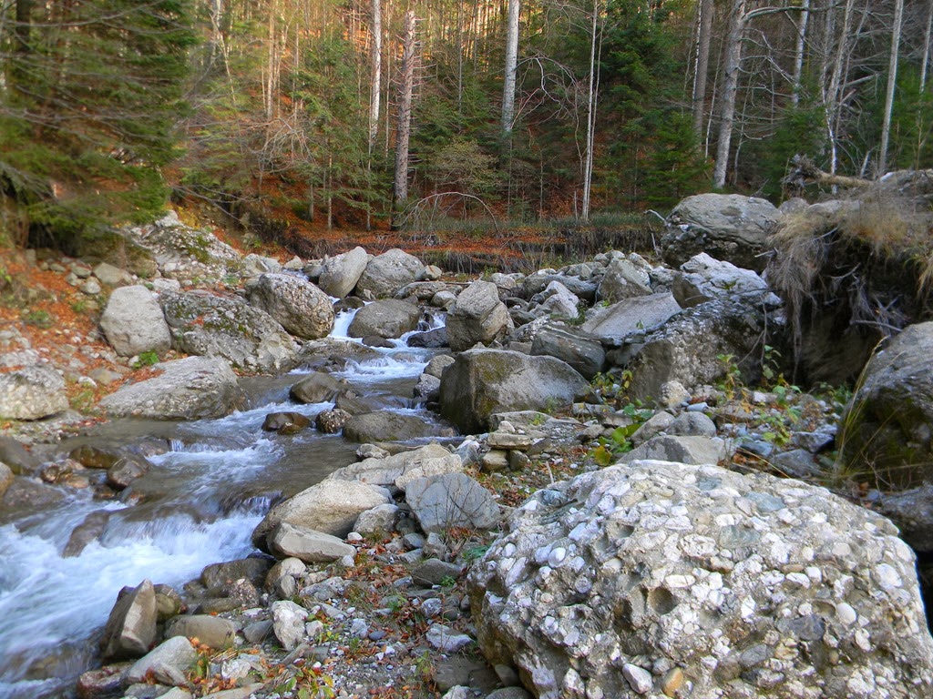 [DSCN73843.jpg]