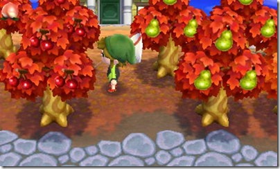 HNI_0021 HNI_0021