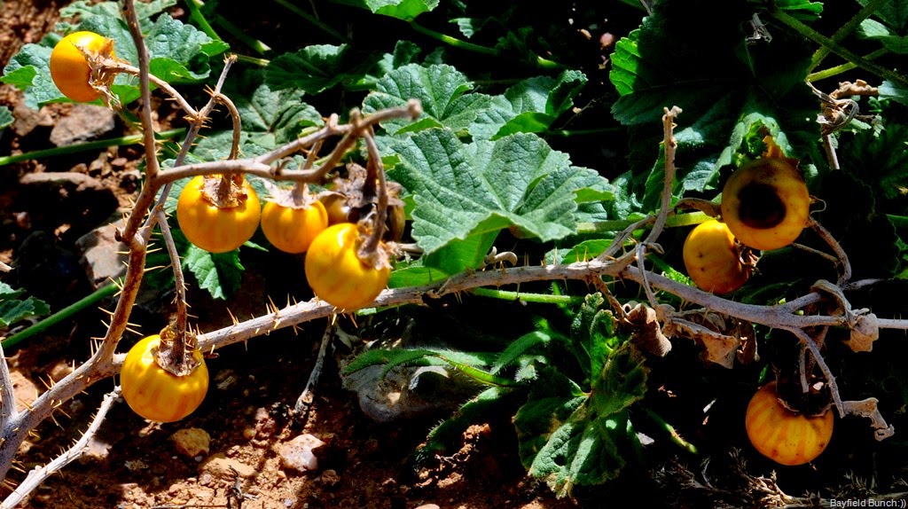 [DSC_0024%255B3%255D.jpg]