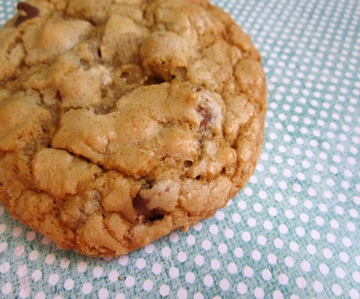 chocolate_chip_cookie_2