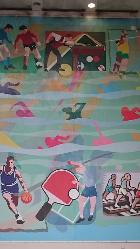 Variety of Sports Mural