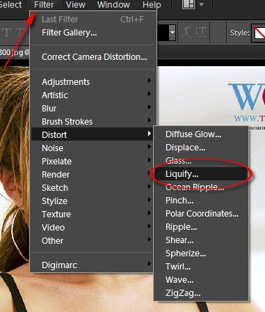 otvori_Liquify_filter_photoshop_elements