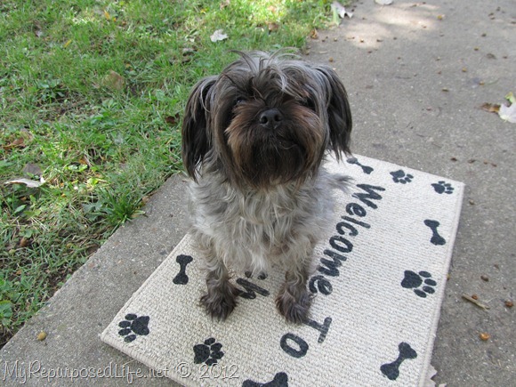 stenciled welcome mat