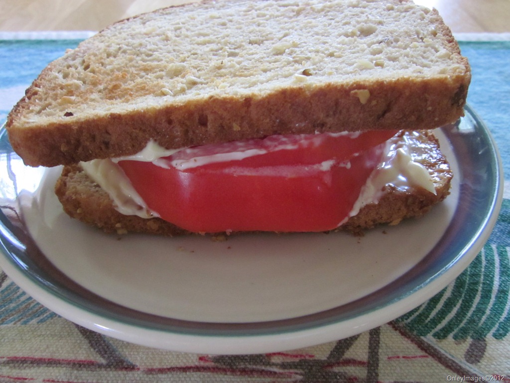 [tomato-sandwich-25.jpg]
