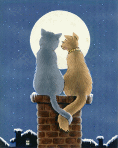 [gato34112.gif]