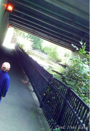 walking along the creek, through a tunnel