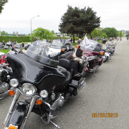 IMG_0207.jpg IMG 0207