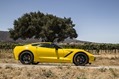 2014-Chevrolet-Corvette-21