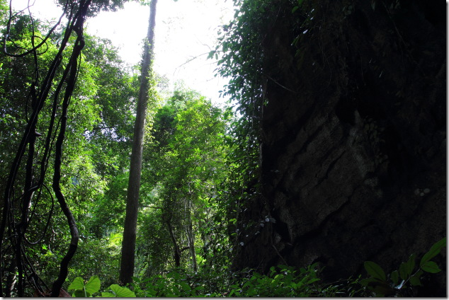 Tropical entrance to the tiger cave at Ko Lanta