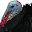Gobbler Turkey Call Download on Windows