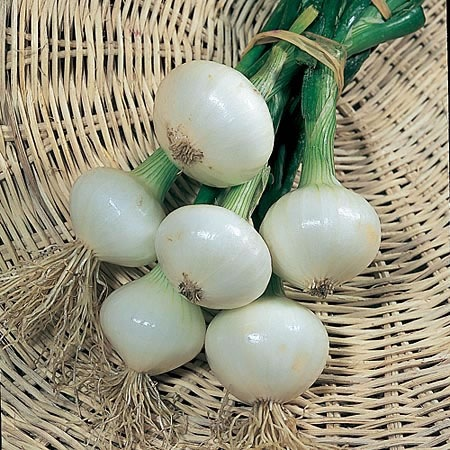 [image%255B159%255D.png]