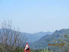 IMG_7505