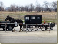 Amish Buggy (1)