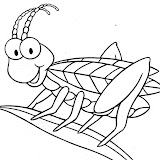 sauterelle2.jpg