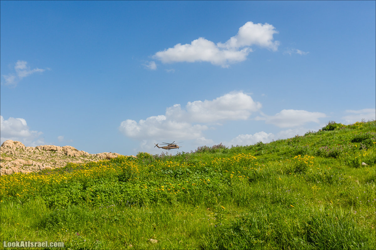 LookAtIsrael.com - Ручей (нахаль) Талкид | Nahal Talkid | נחל תלקיד