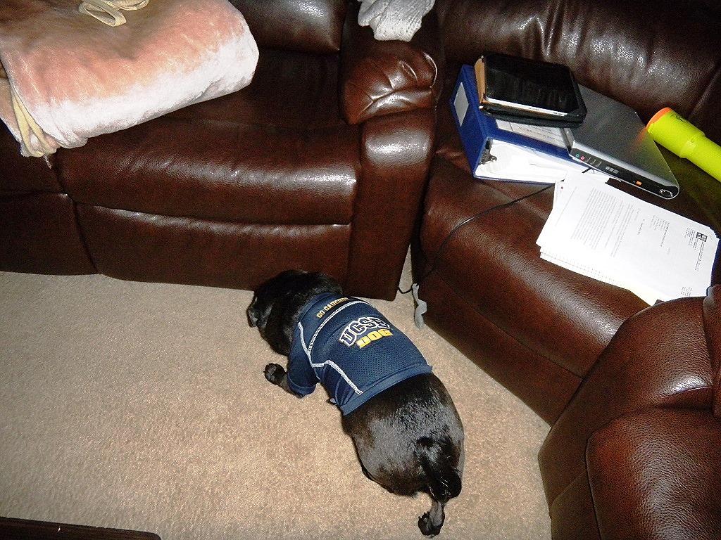 [DSCN4121%2520-%2520Kopie%255B5%255D.jpg]