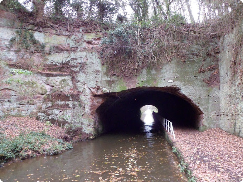 SAM_0025 Cowley Tunnel