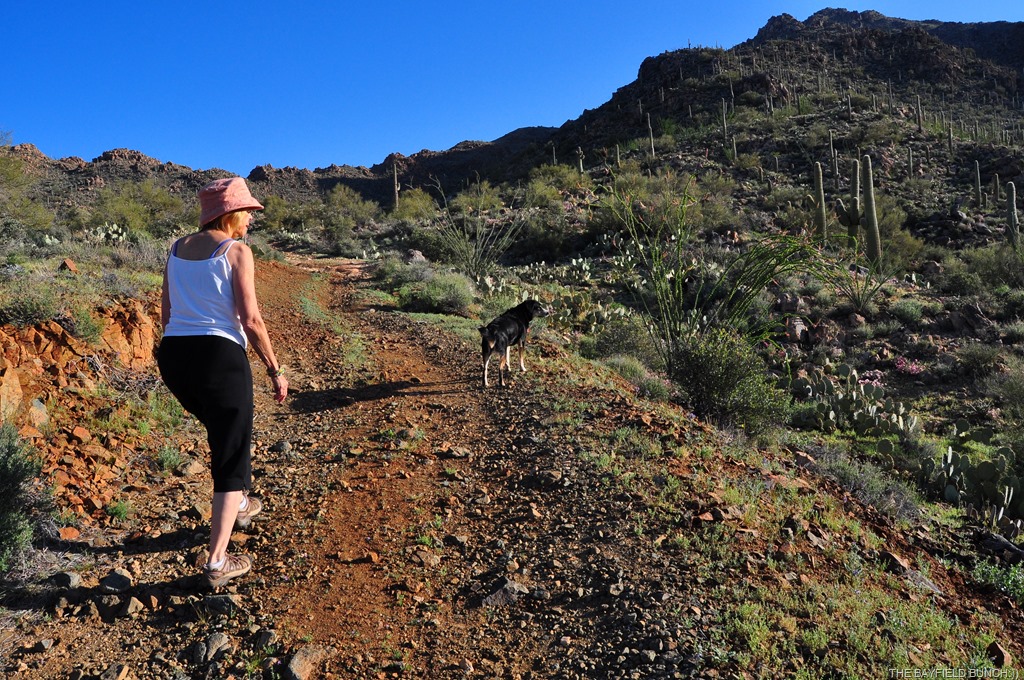 [DSC_0012%255B3%255D.jpg]