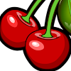 D Cherry D Cherry