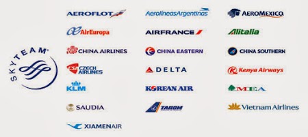Companii aeriene Sky Team