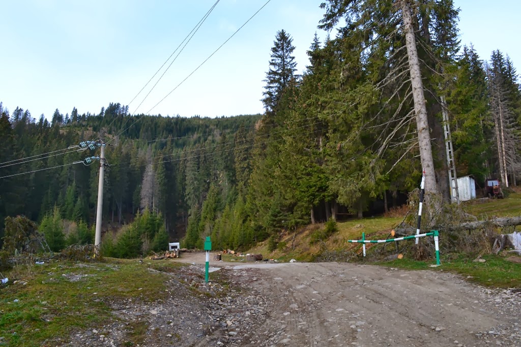 [DSC_00217.jpg]