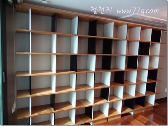 DIY1149DSC06593-20110131-125830