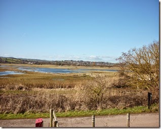 exminster marshes