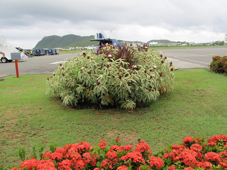 Aeroport St. Lucia Caraibe