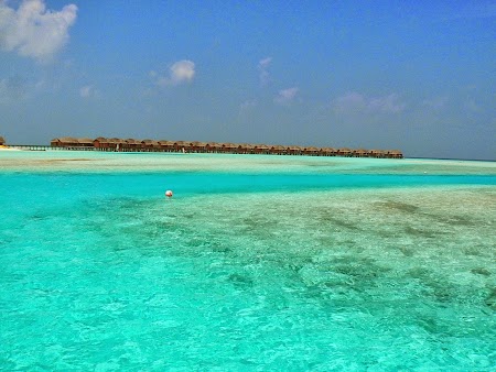 Luna de miere Maldive: Apa Maldive