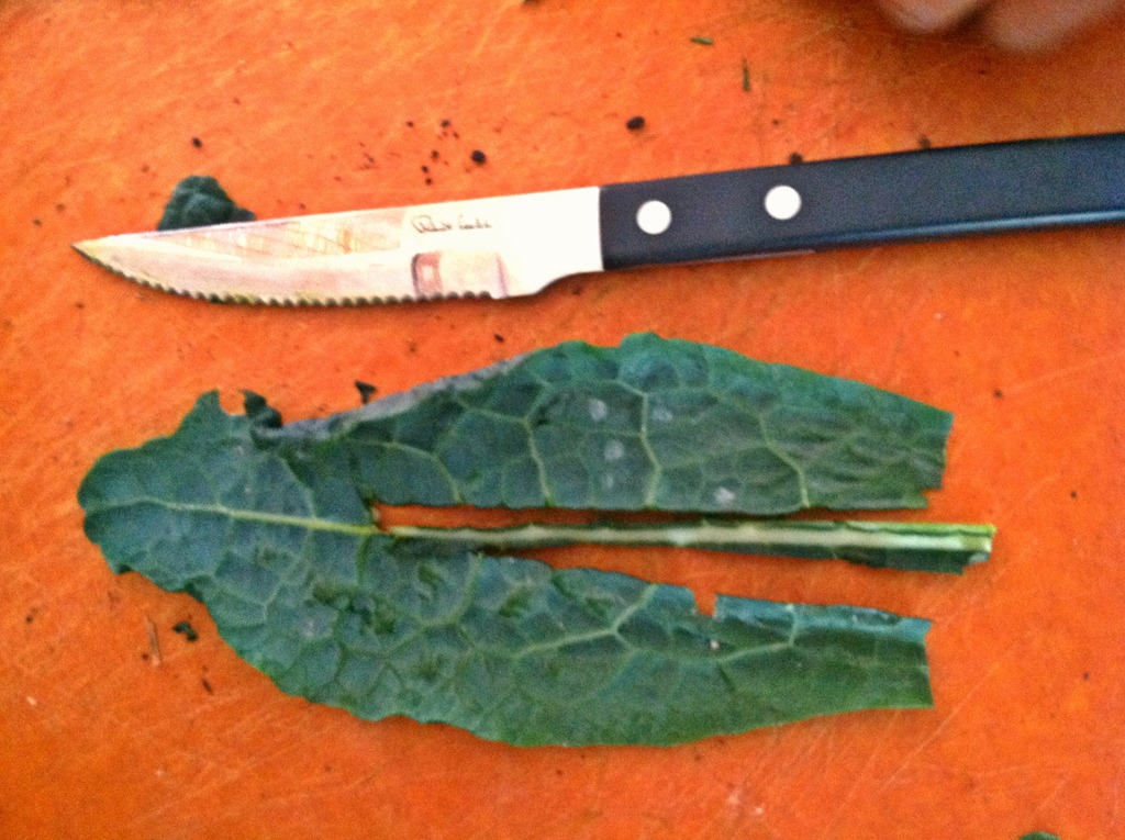 [IMG_1030%255B7%255D.jpg]