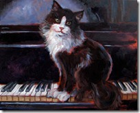 gato pianista blogdeimagenes (8)
