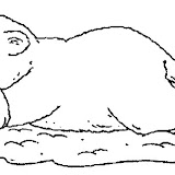 DIBUJOS DE OSOS PEREZOSOS PARA COLOREAR