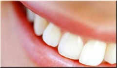dentes