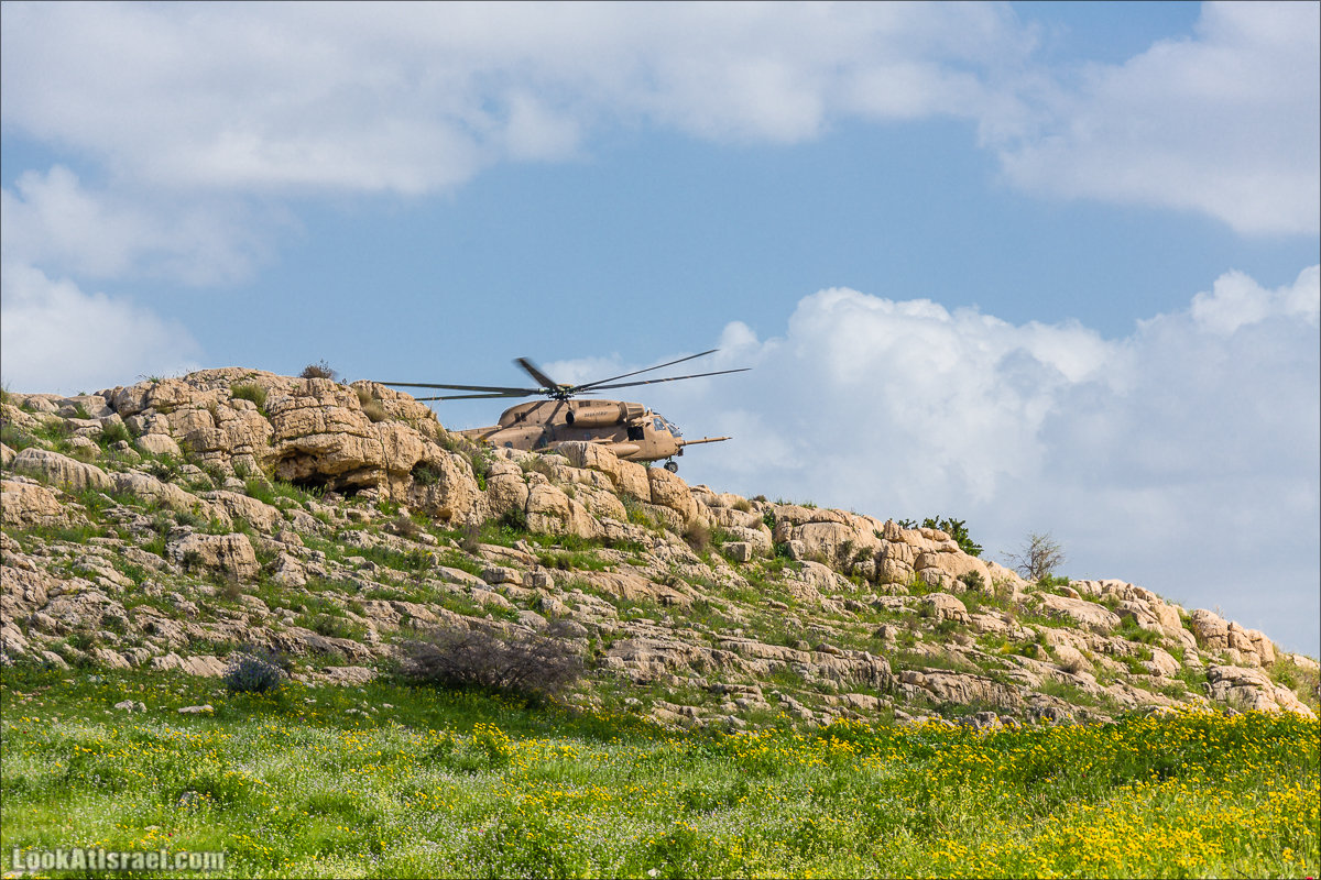 LookAtIsrael.com - Ручей (нахаль) Талкид | Nahal Talkid | נחל תלקיד