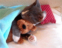 la-animais-33.gif